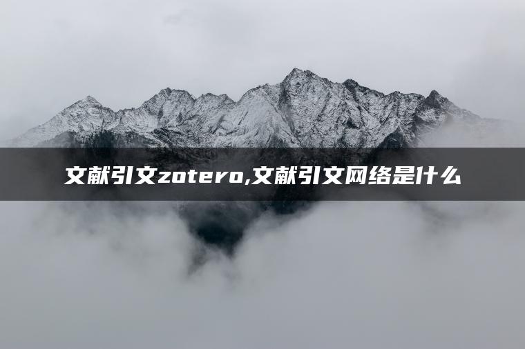 文献引文zotero,文献引文网络是什么