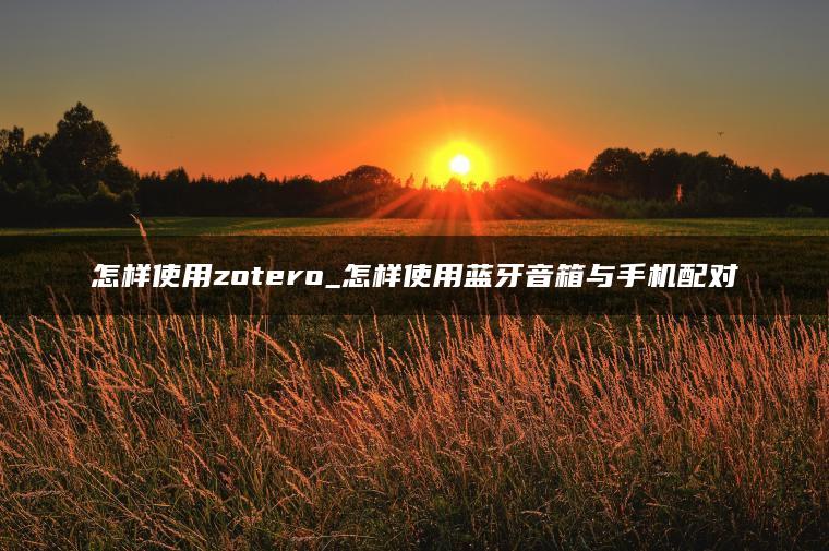 怎样使用zotero_怎样使用蓝牙音箱与手机配对