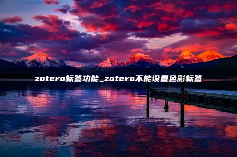 zotero标签功能_zotero不能设置色彩标签