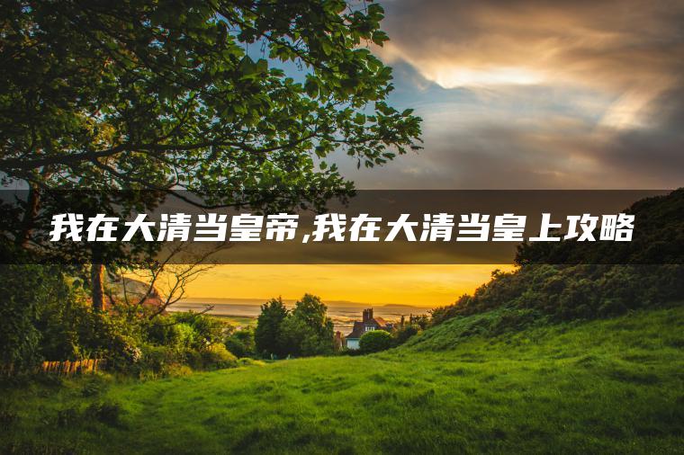 我在大清当皇帝,我在大清当皇上攻略